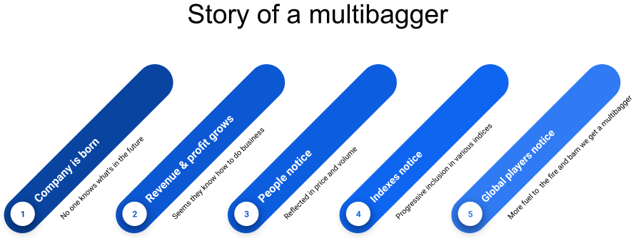 how multibagger is born